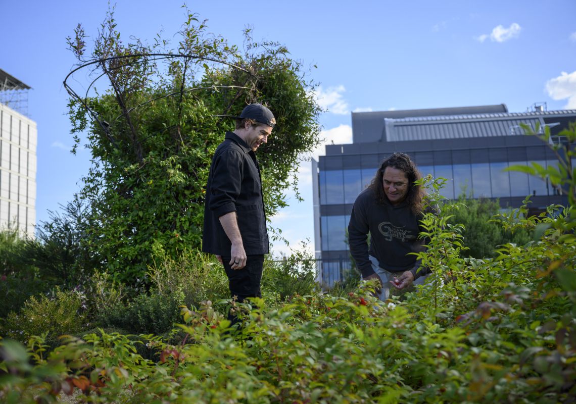 Clarence Slockee with Hayden Quinn at South Eveleigh Community Rooftop Garden, Eveleigh