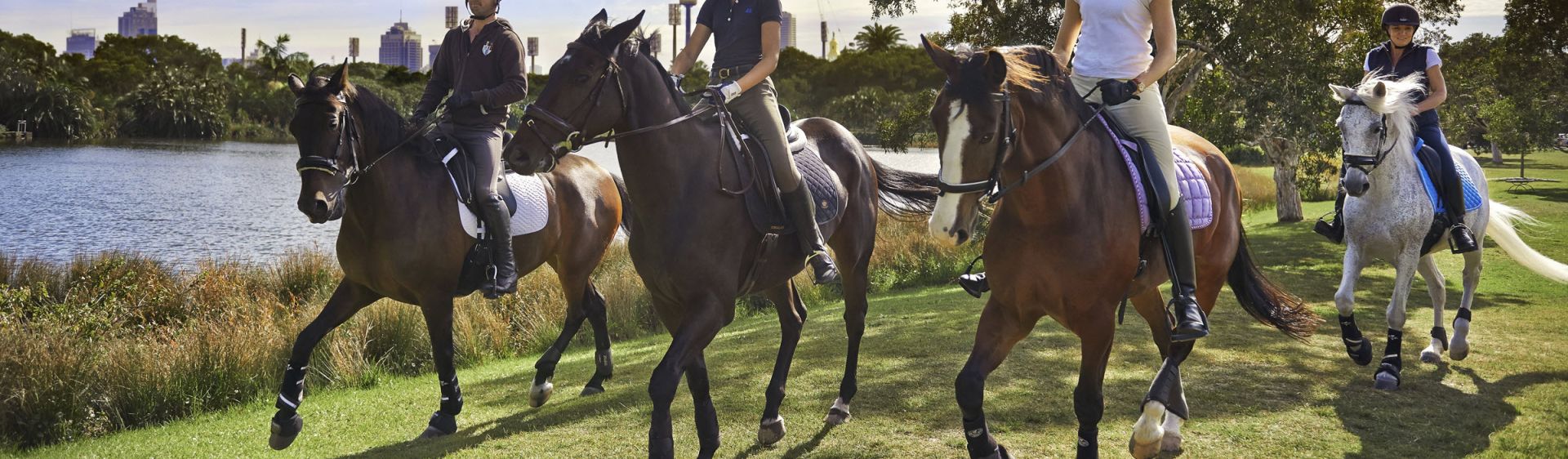 Horse Riding in Sydney Horseback Riding & Trail Riding