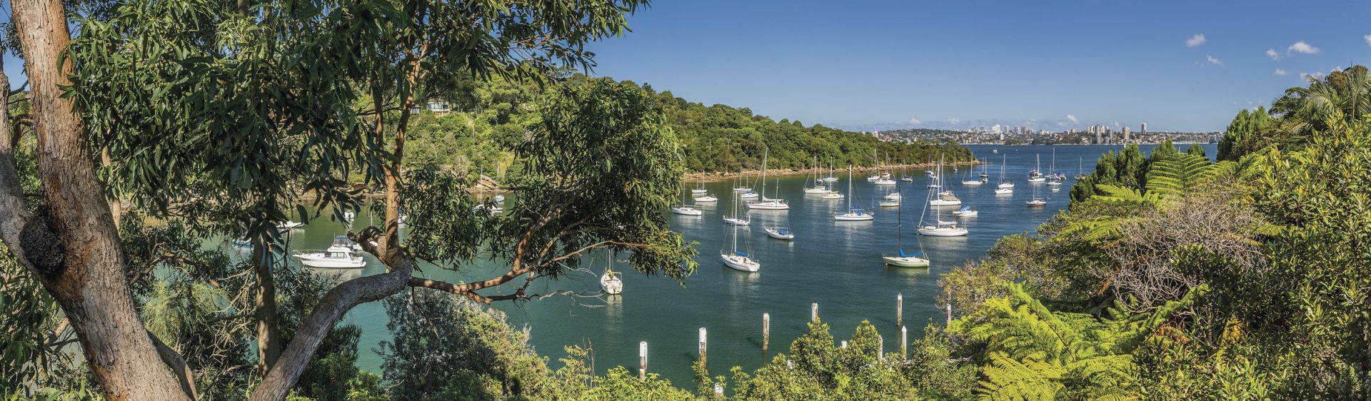 Boats docked in Little Sirius Cove in Mosman Sydney Harbour in Summer