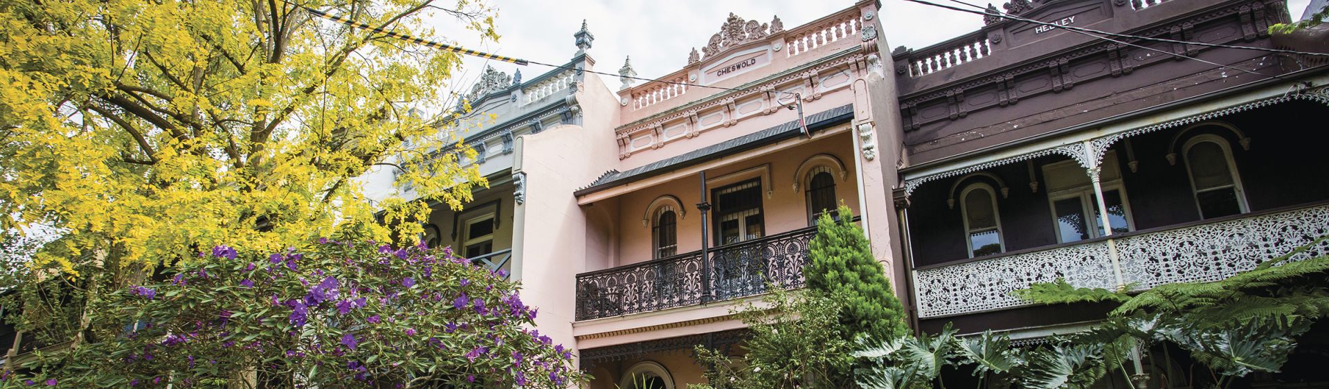 Terraces in Paddington - Image; Destination NSW