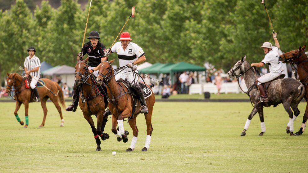 Polo in the Hawkesbury