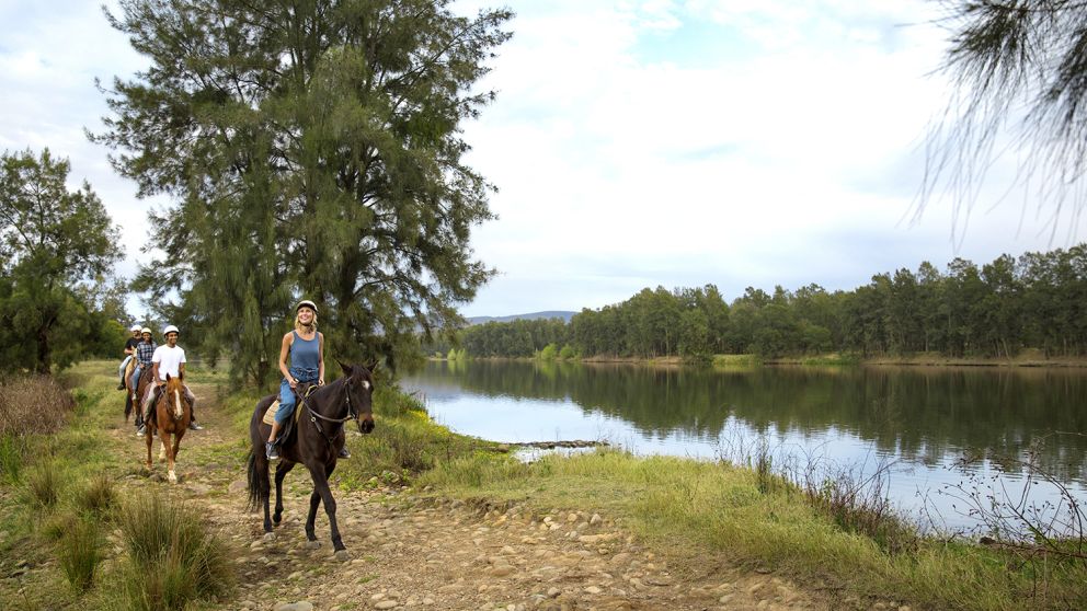 Horse Riding in Sydney Horseback Riding & Trail Riding