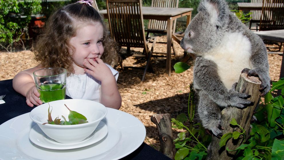 Zoos & Wildlife in Sydney Official Sydney Tourism site