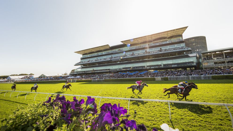 Spring Racing in Sydney