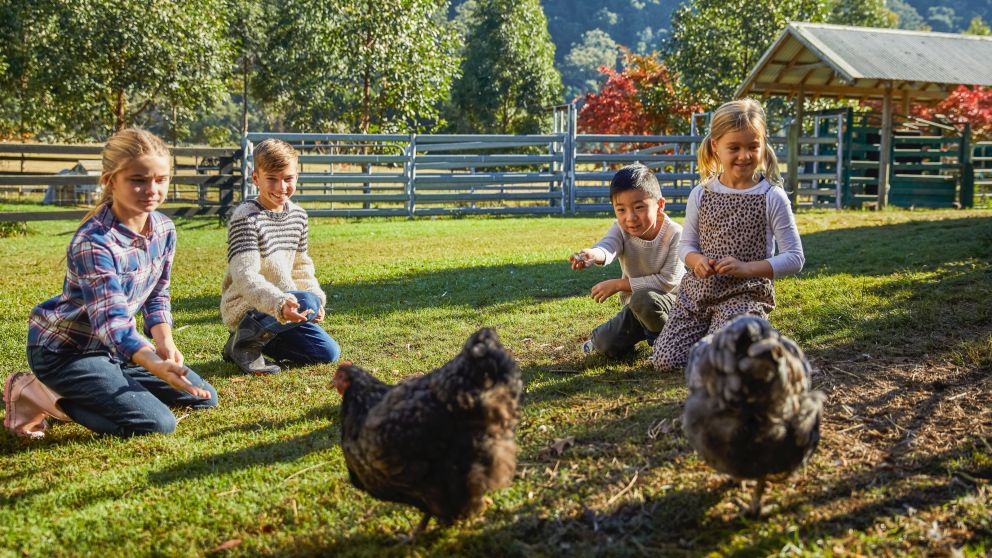 School Summer Holidays