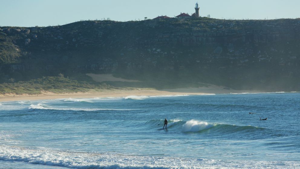 Stand up paddleboarder catches a morning wave at Palm Beach, Sydney North