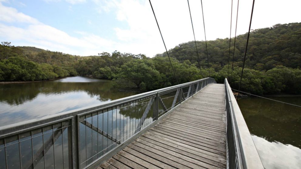 Gibberagong Mangrove boardwalk at Ku-ring-gai Chase National Park