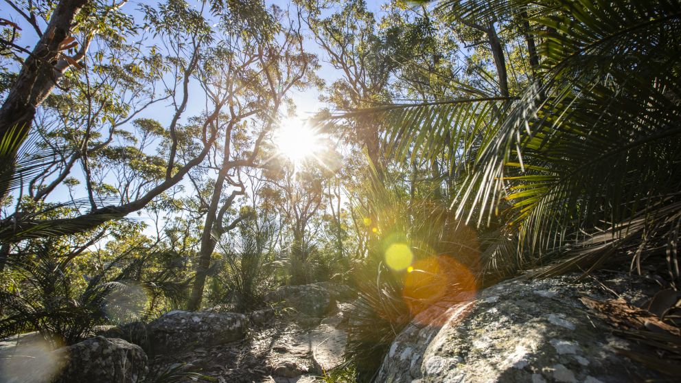 Scenic walk from Bouddi National Park, Bouddi