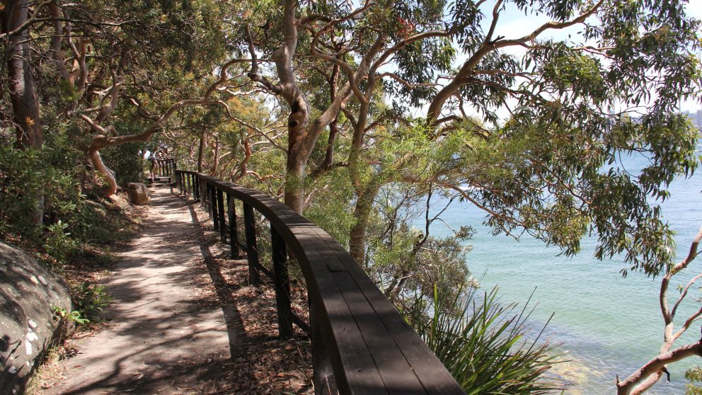 Bradleys Head walking track Sydney Harbour National Park foreshore
