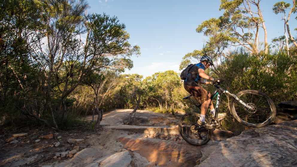 Mountain Biking at Manly Dam, Sydney North