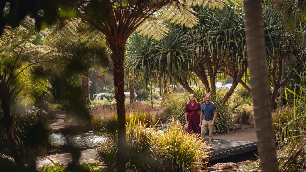 Couple walking in The Australian Botanic Garden in Mount Annan, NSW