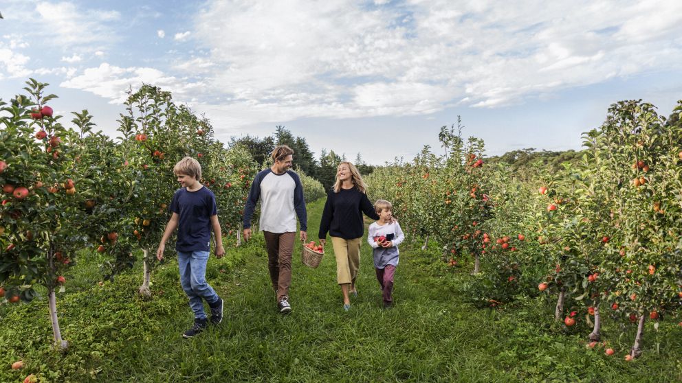 Family enjoying a day of apple picking at Shields Orchard, Bilpin