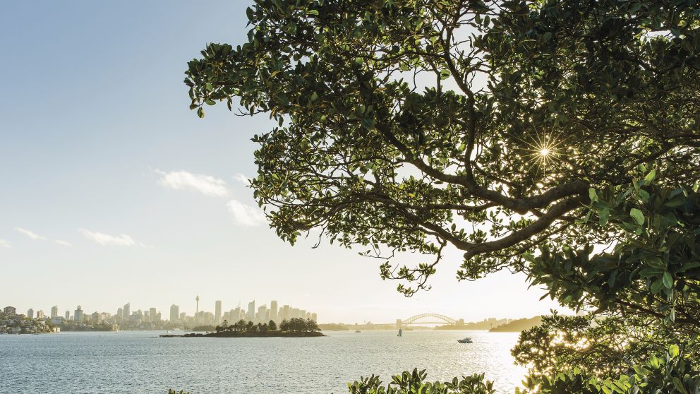 Views from the Hermitage Foreshore Walk