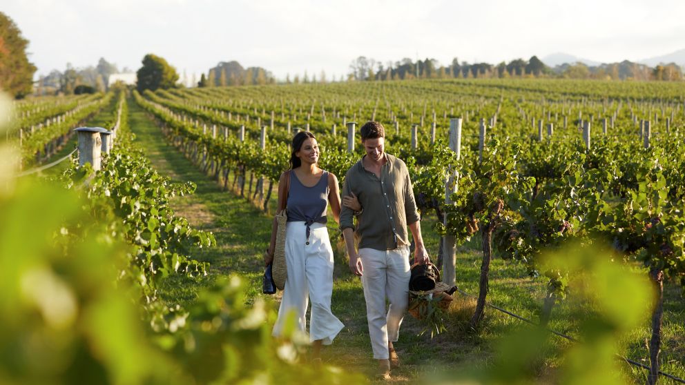 Couple enjoying a scenic walk through the vineyards at Rowlee Wines, Nashdale