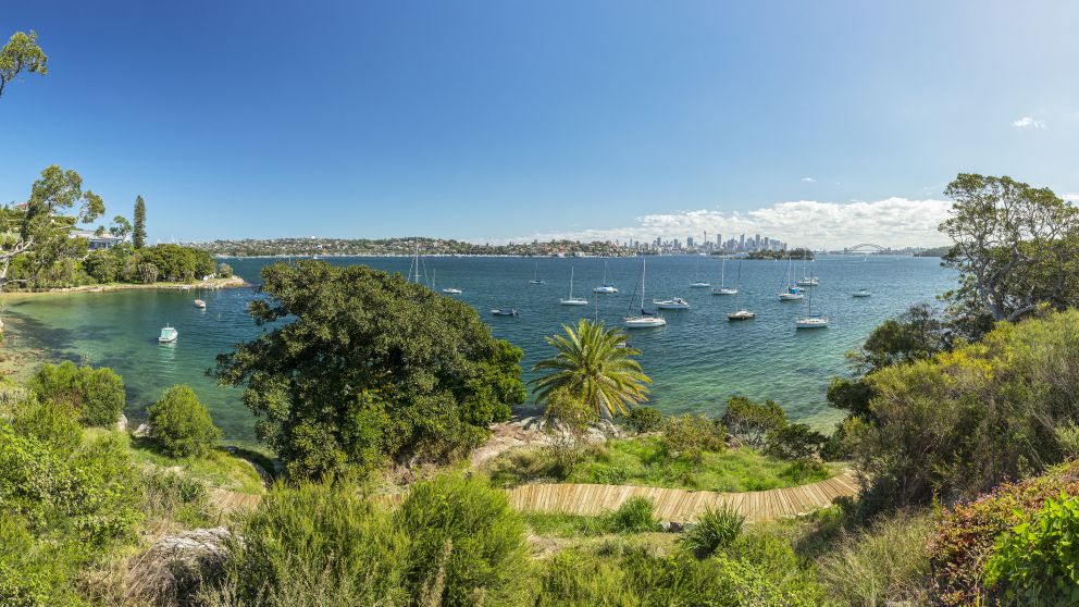 Sydney Harbour from the Hermitage Foreshore Walking Track