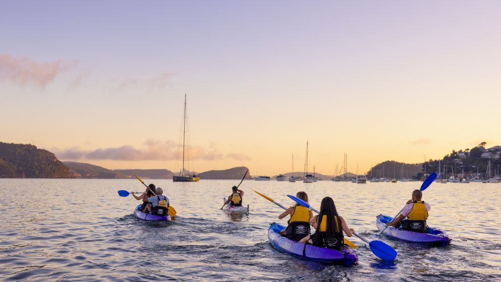 sunrise kayaking experience in Pittwater with Pittwater Kayak Tours, Palm Beach