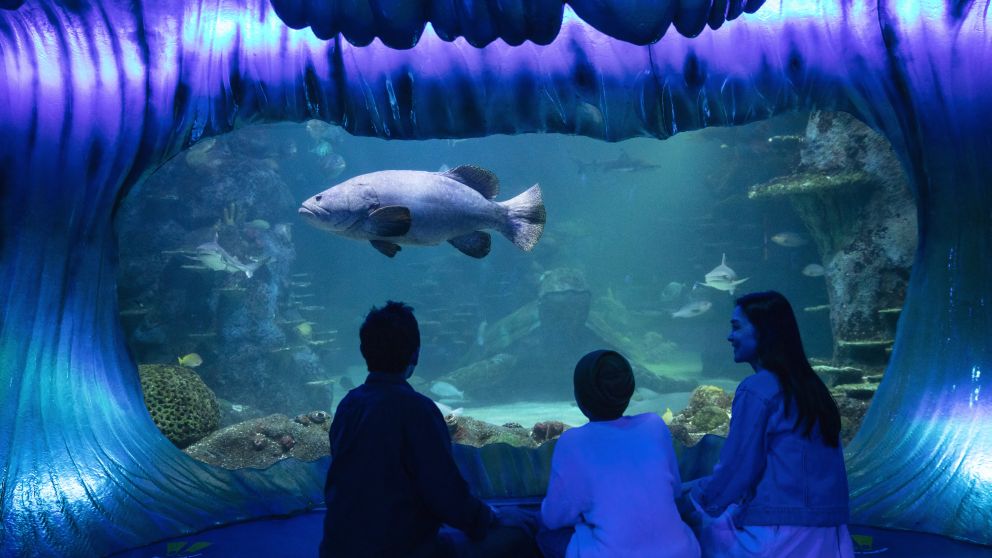 SEA LIFE Sydney Aquarium