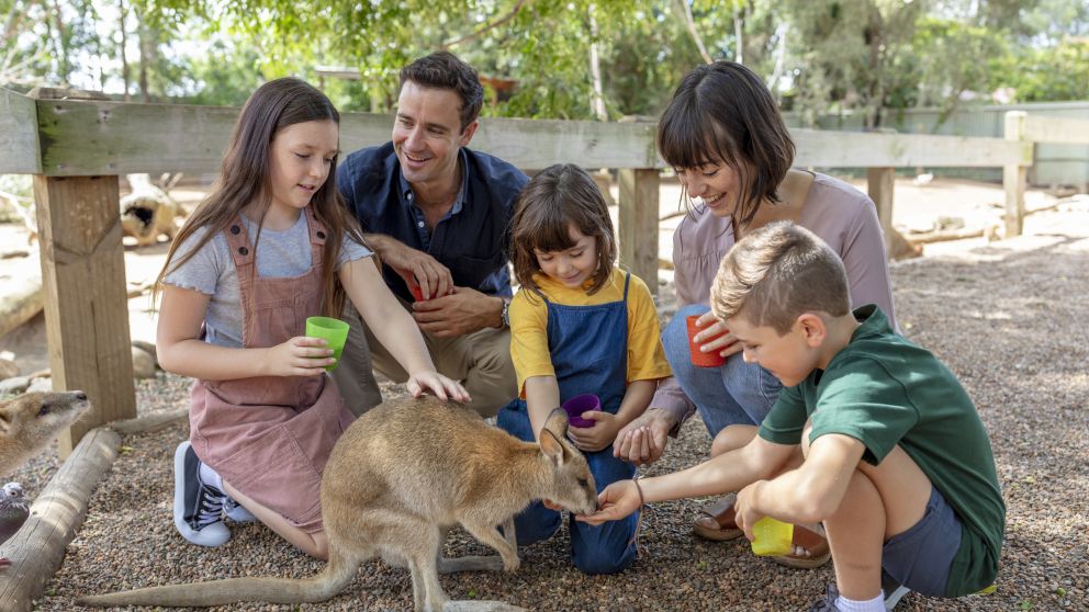 Family feeding a wallaby at Featherdale Wildlife Park, Doonside in Sydney west