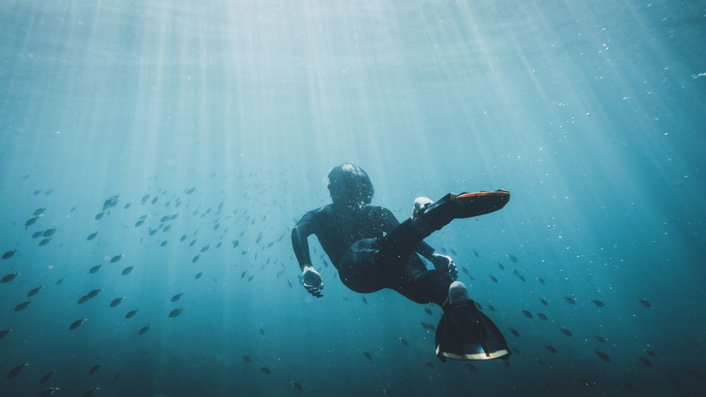 Man snorkelling off Avalon Beach, Avalon on Sydney's Northern Beaches