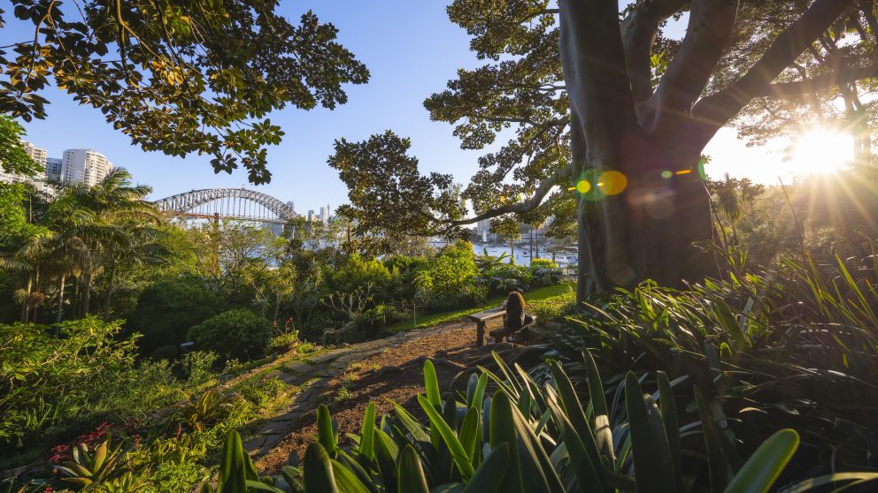 Woman enjoying the serenity in Wendy Whiteley's Secret Garden in Lavender Bay