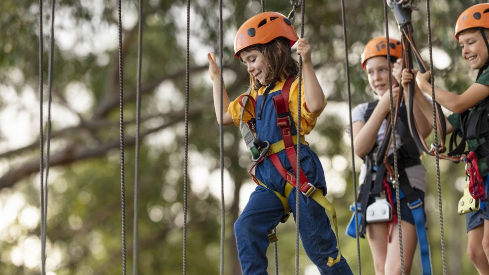 TreeTops Adventure Park, Abbotsbury, Sydney South