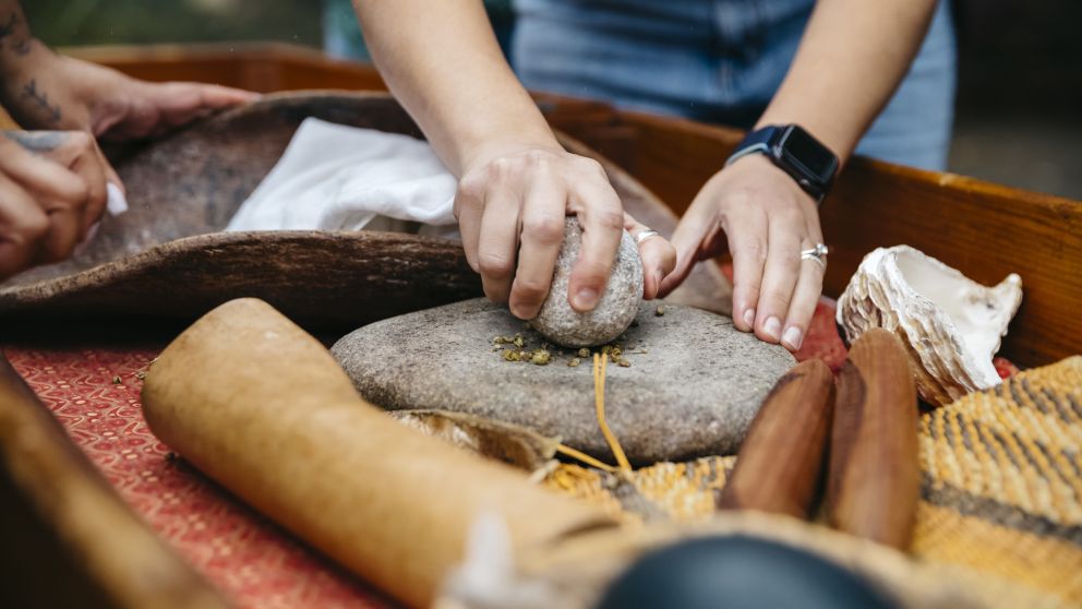 bush tucker tours sydney