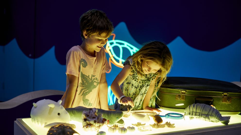 Sensory Sundays - "Cabinet of Curiosities" at the Australian National Maritime Museum