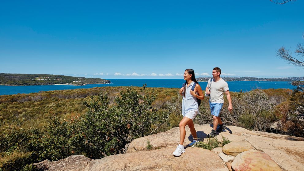 Couple enjoying stunning coastal views of Sydney Harbour from Dobroyd Head, Balgowlah Heights