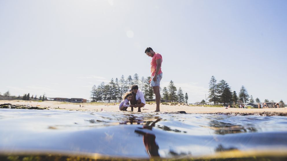 Mona Vale Rockpool, Northern Beaches