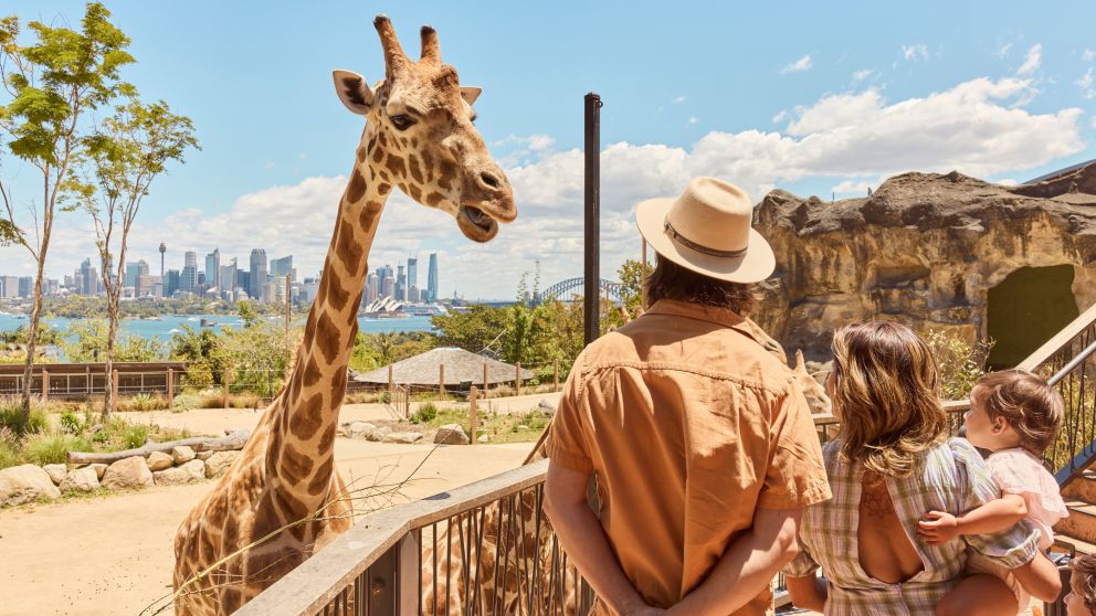 Taronga Zoo, Mosman