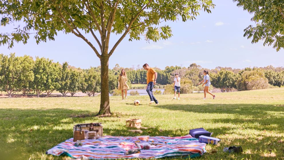 Bicentennial Park, Sydney Olympic Park