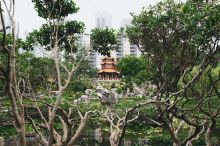 The peaceful and scenic grounds of the Chinese Garden of Friendship in Chinatown, Darling Harbour 