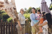 在悉尼北部塔龍加動物園（Taronga Zoo）的長頸鹿飼養員講座中，一家人與長頸鹿親密接觸