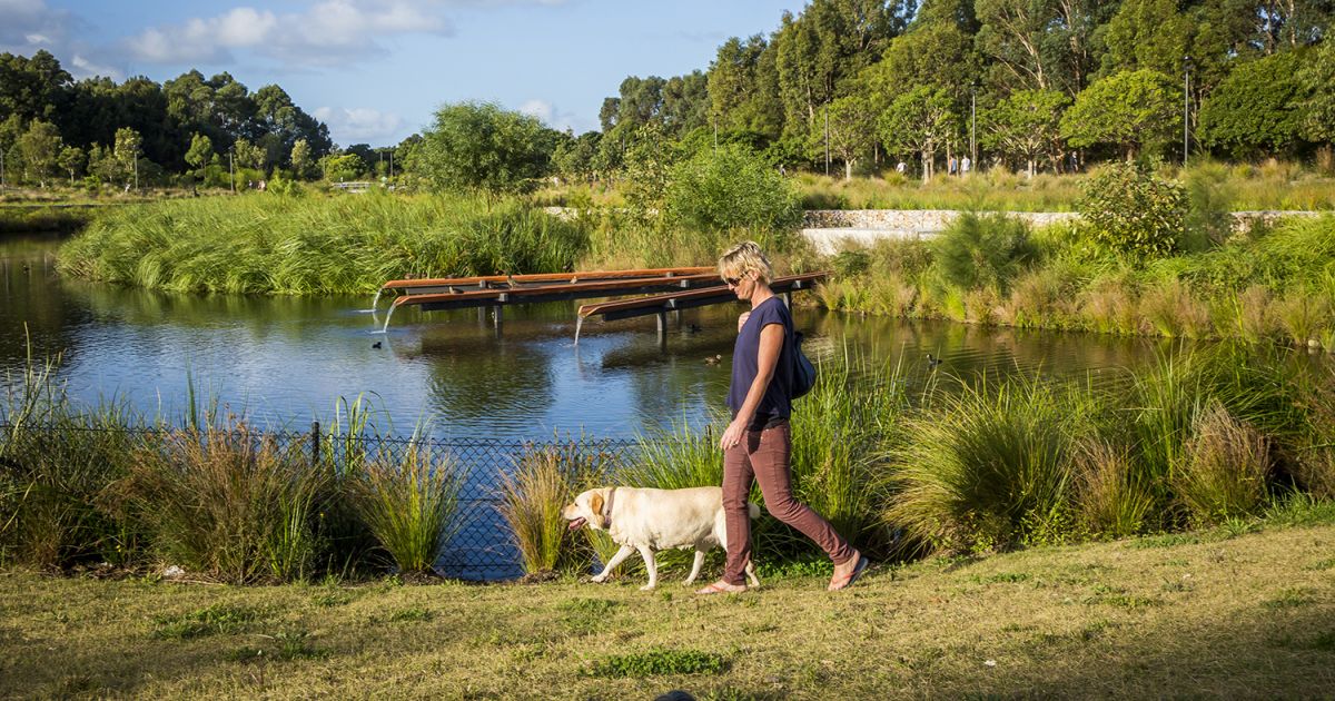 14 Best Dog Friendly Walks In Sydney | The Ultimate Guide