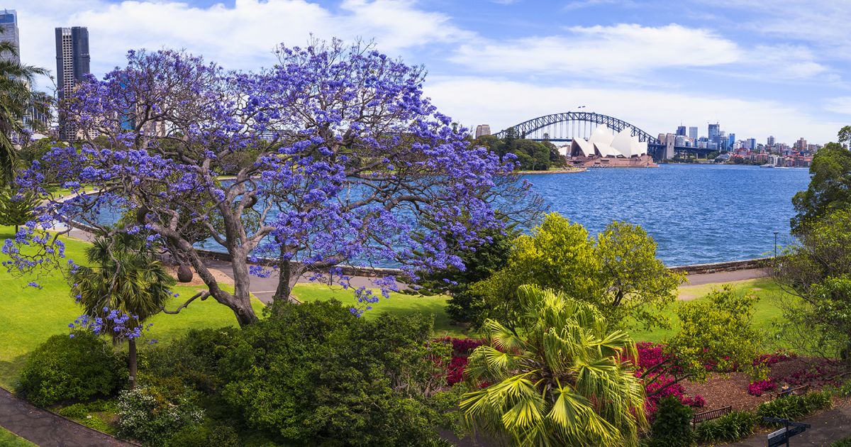 Best Parks & Gardens in Sydney Picnic, Walks & more