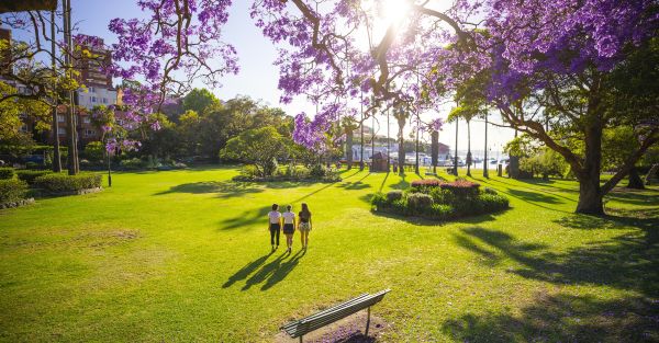 9 of the best places to see jacarandas in Sydney this spring | Sydney.com