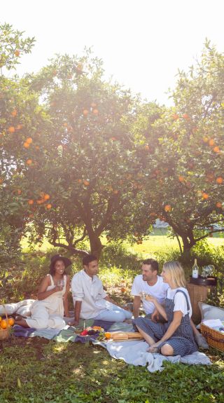 Group of Friends picnicing in the Hawkesbury Area