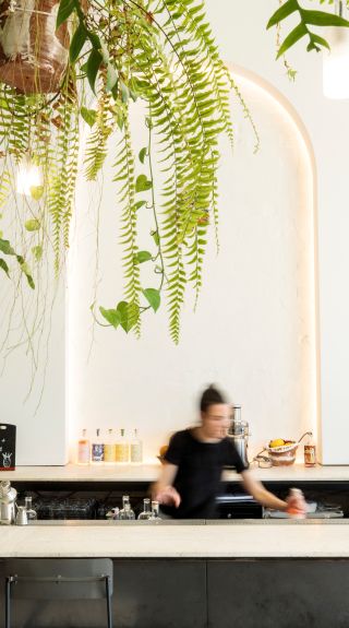 The bar at Poor Toms Gin Hall in Marrickville, Inner Sydney