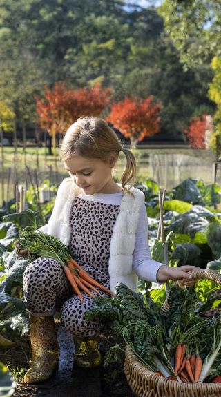 Young girl harvesting vegetables from the grounds at Cross Park homestead in Lower MacDonald