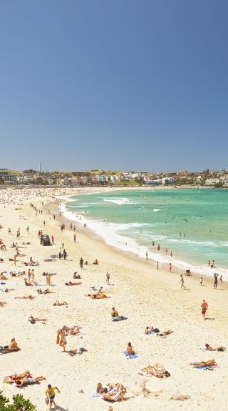 Bondi Beach in Summer