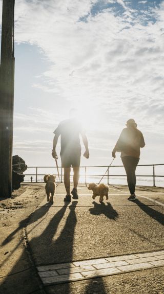 Locals enjoying a morning walk at South Cronulla Beach, Cronulla