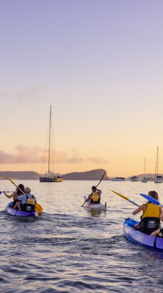 sunrise kayaking experience in Pittwater with Pittwater Kayak Tours, Palm Beach