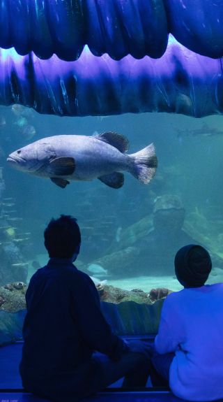SEA LIFE Sydney Aquarium