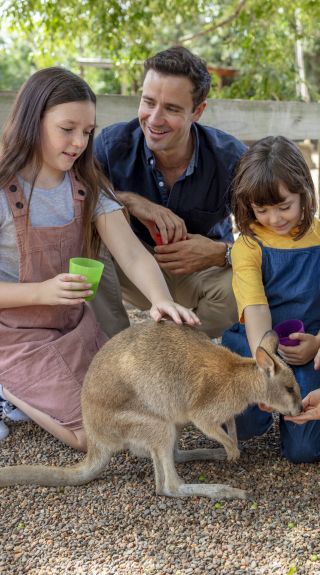 Family feeding a wallaby at Featherdale Wildlife Park, Doonside in Sydney west