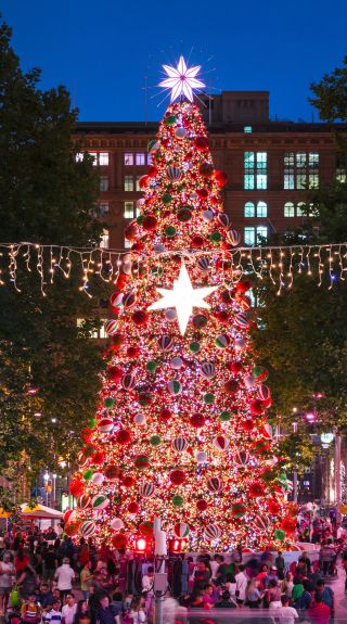 Christmas Tree & Lights in Martin Place