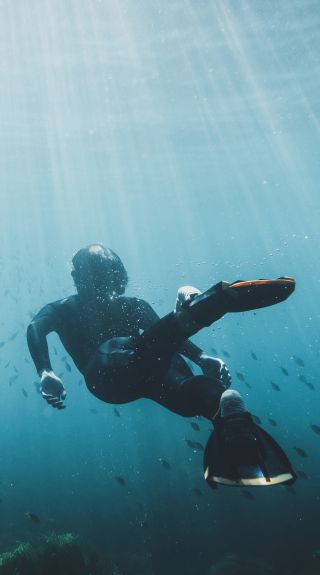 Man snorkelling off Avalon Beach, Avalon on Sydney's Northern Beaches