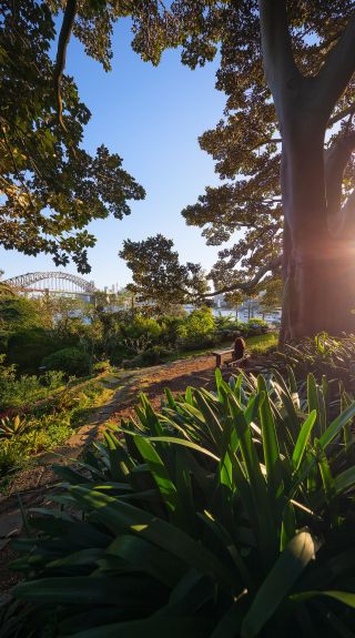 Woman enjoying the serenity in Wendy Whiteley's Secret Garden in Lavender Bay