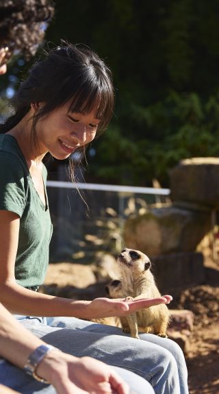 Zambi WIldLife Sanctuary, Penrith