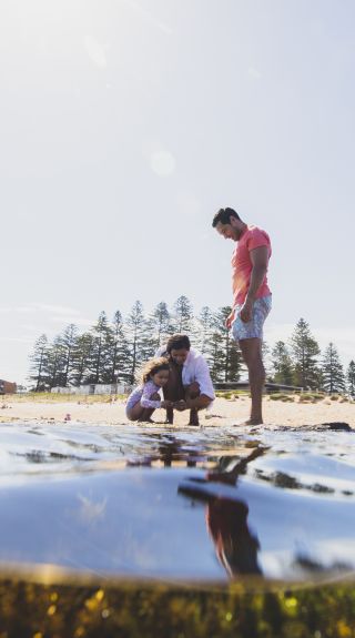 Mona Vale Rockpool, Northern Beaches