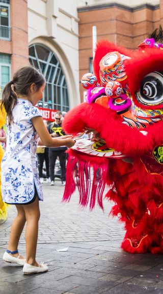 Lunar New Year Celebrations